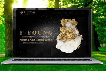 �˴��������ﱦʯ